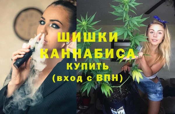 прущая мука Богородицк