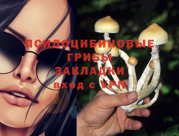 mdpv Богданович