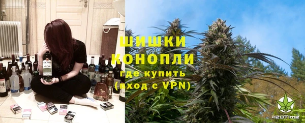 mdpv Богданович