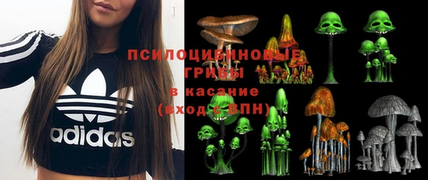 прущая мука Богородицк